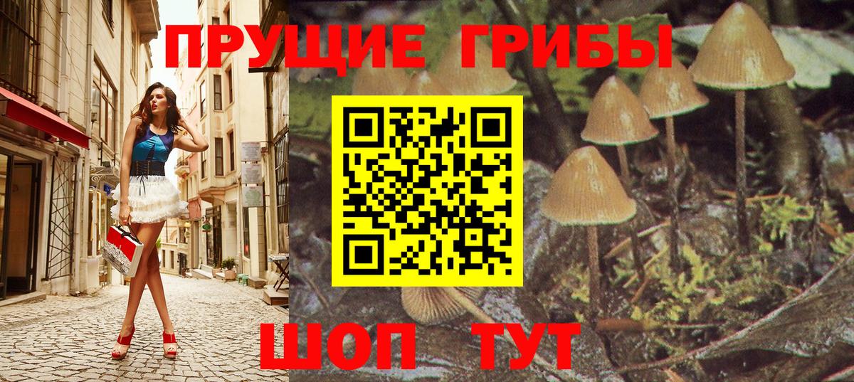 Псилоцибиновые грибы прущие грибы Воскресенск